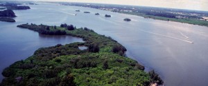 Mosquito Lagoon in Indian River